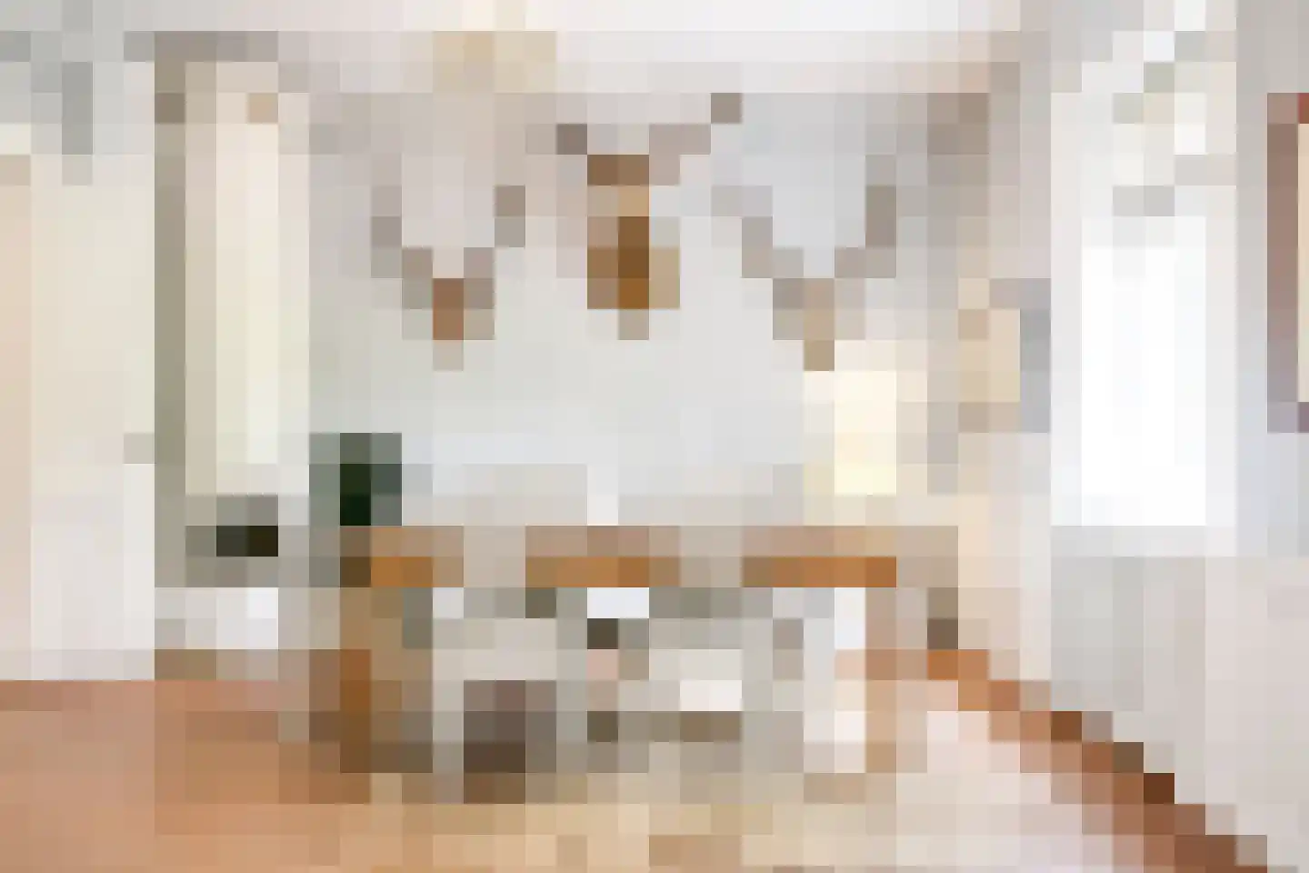 1 Novemberstraat 1 Sluis thumbnail 21