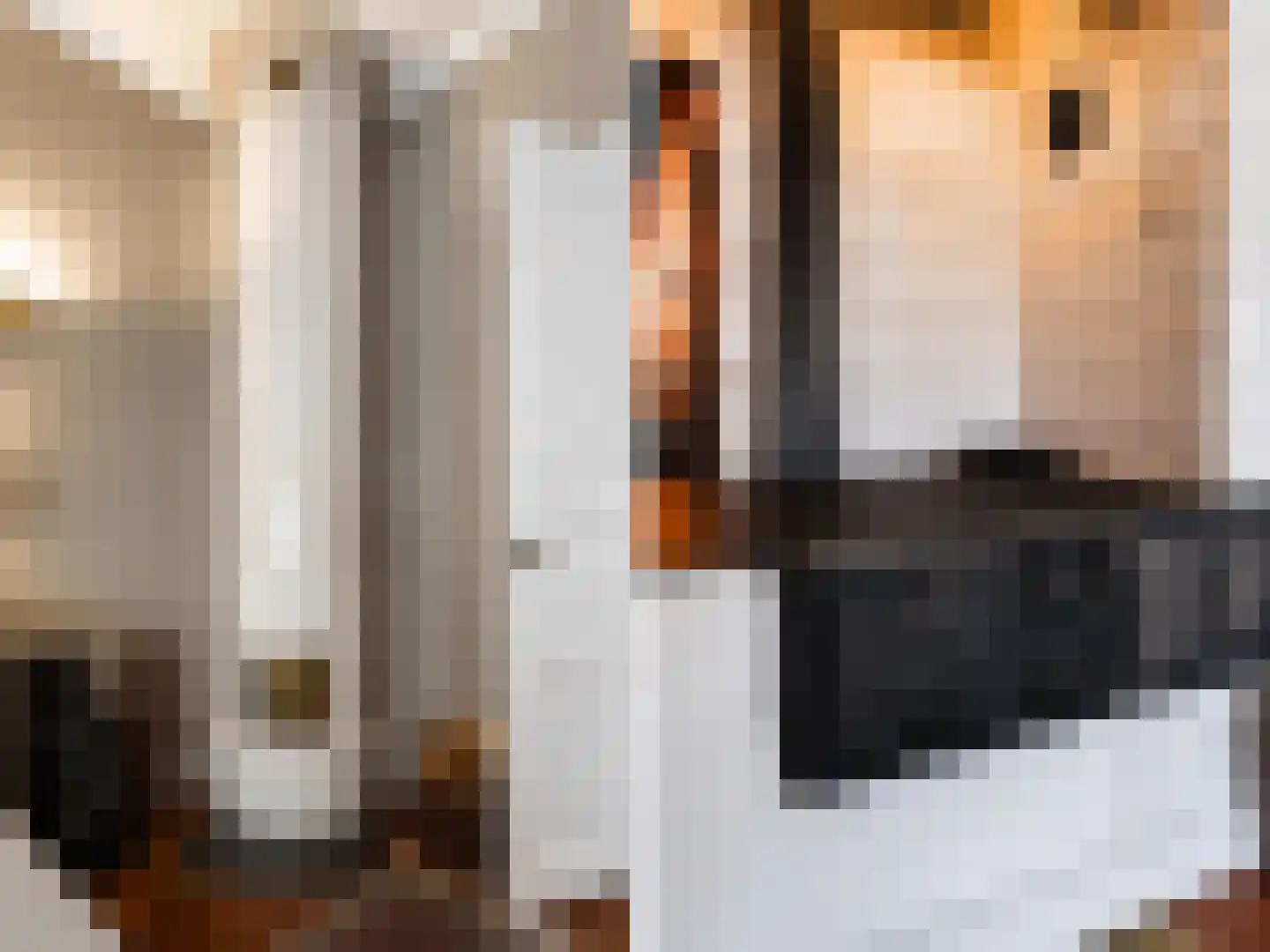 1 Novemberstraat 1 Sluis thumbnail 31
