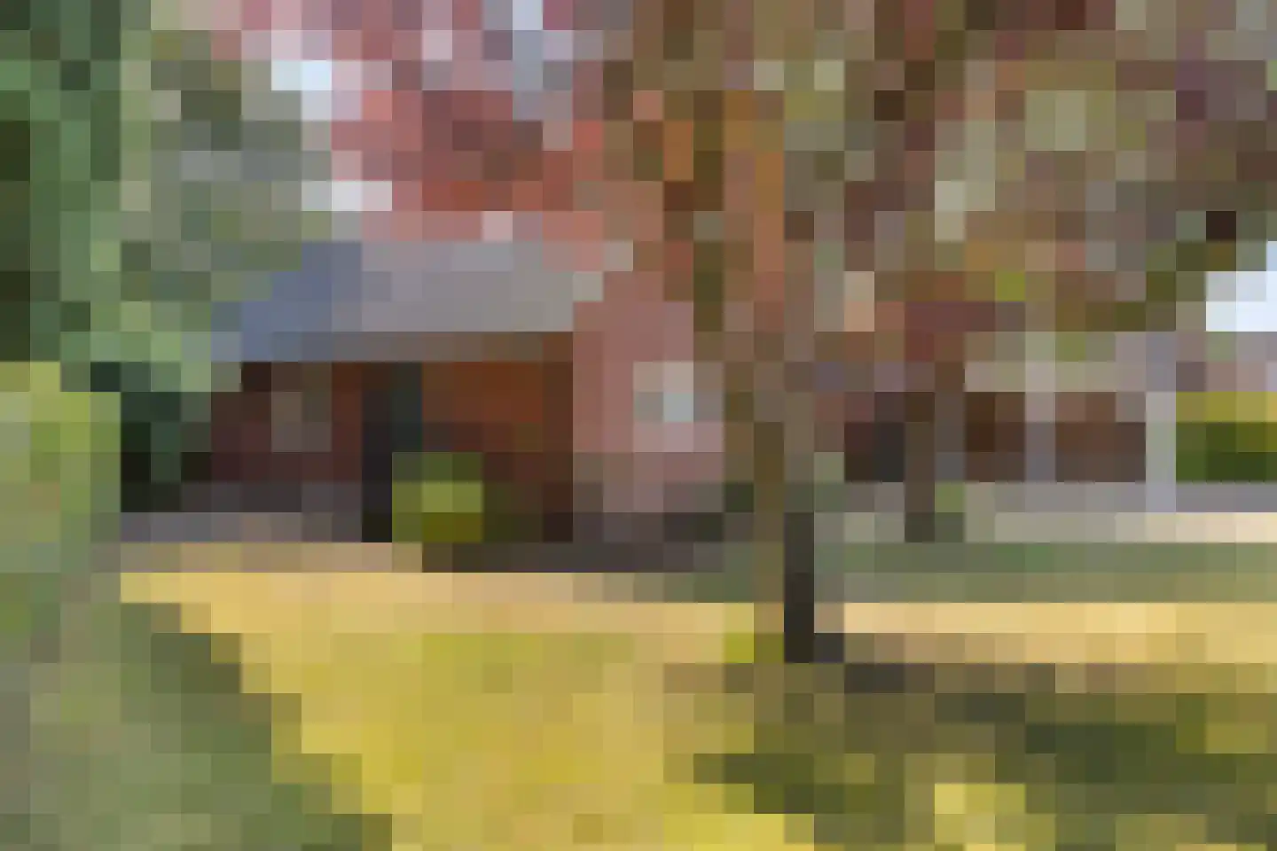 1 Novemberstraat 1 Sluis thumbnail 32