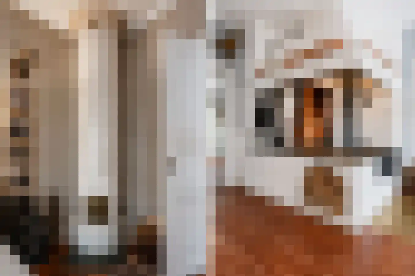 1 Novemberstraat 1 Sluis thumbnail 32