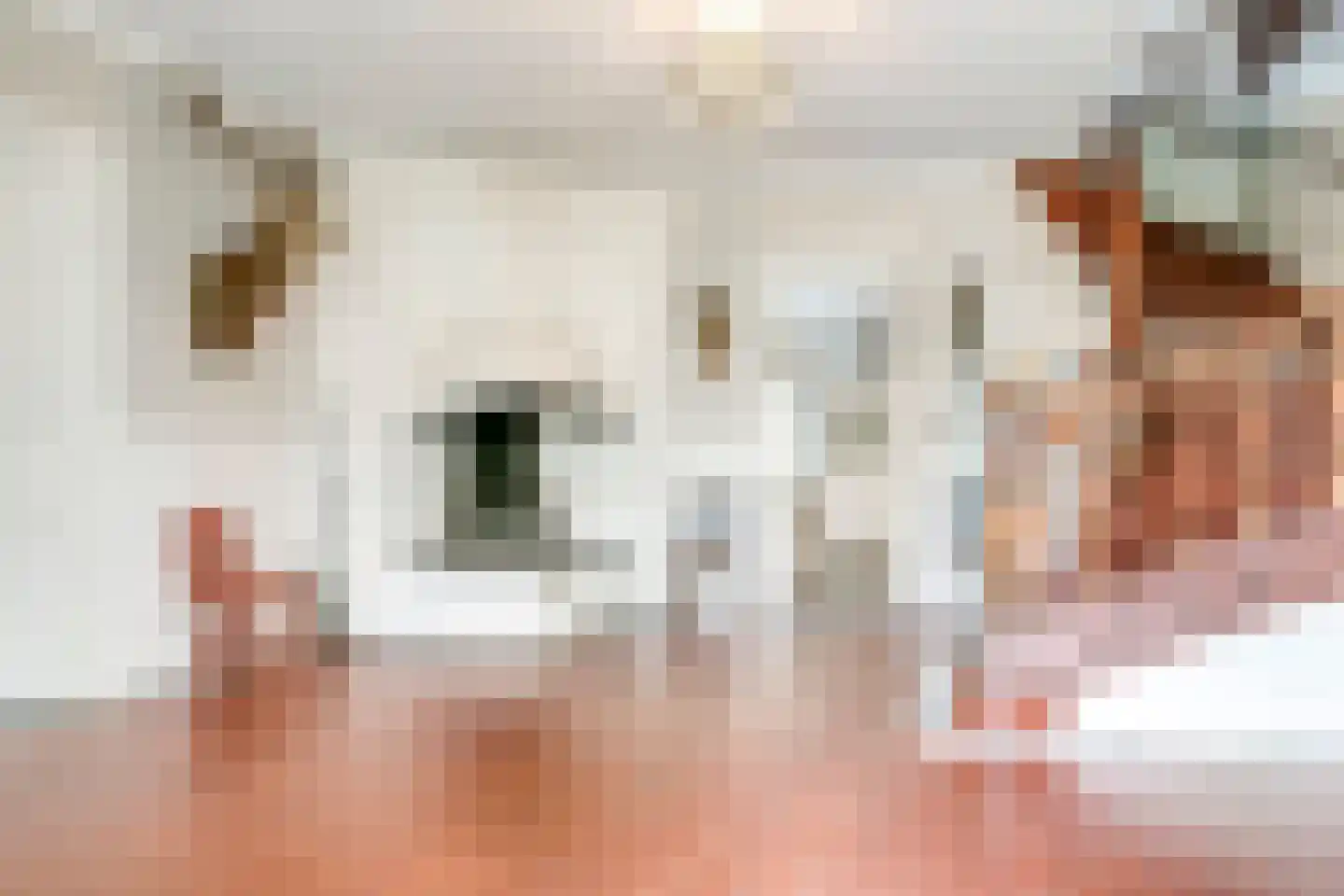 1 Novemberstraat 1 Sluis thumbnail 33