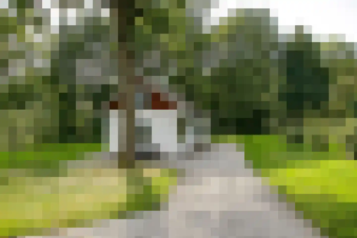 1 Novemberstraat 1 Sluis thumbnail 52