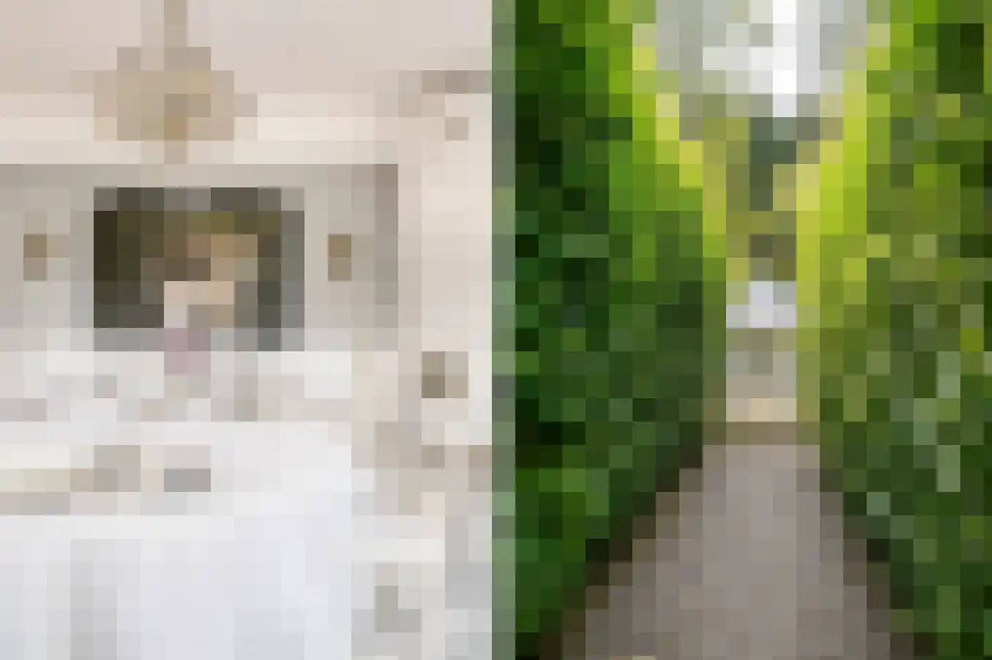 1 Novemberstraat 1 Sluis thumbnail 7