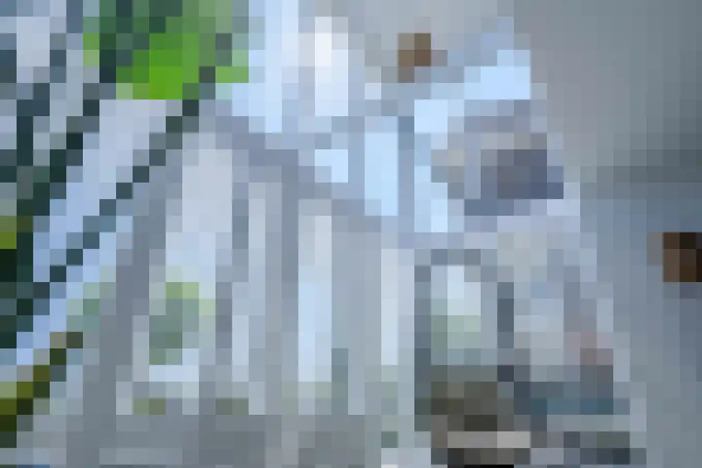 10 Meilaan 11 Valkenburg thumbnail 19