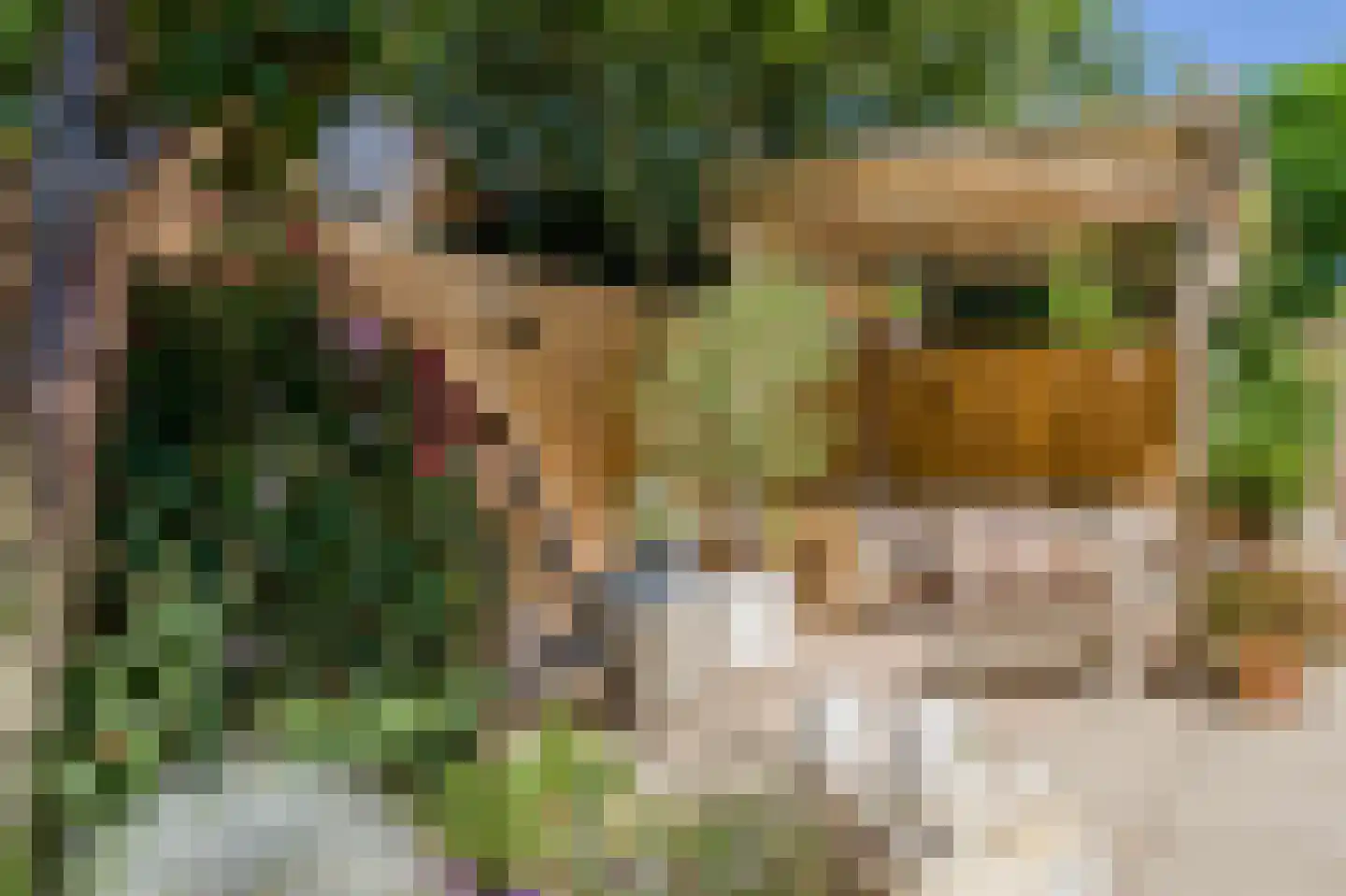 10 Meilaan 11 Valkenburg thumbnail 35