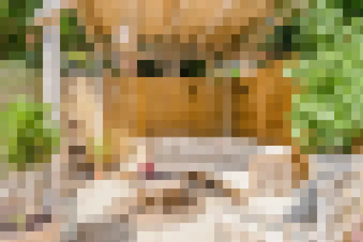 10 Meilaan 11 Valkenburg thumbnail 37