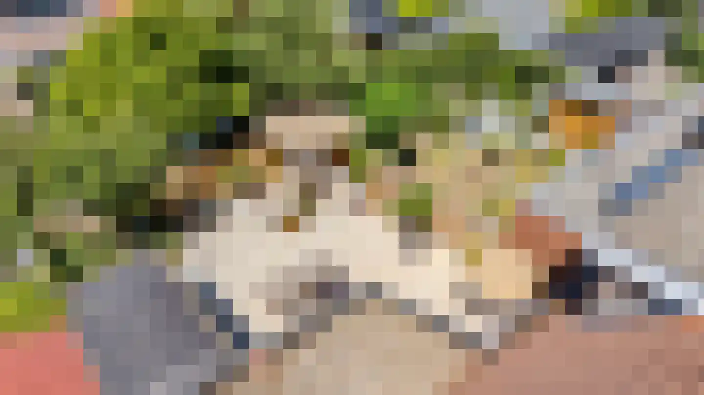 10 Meilaan 11 Valkenburg thumbnail 39