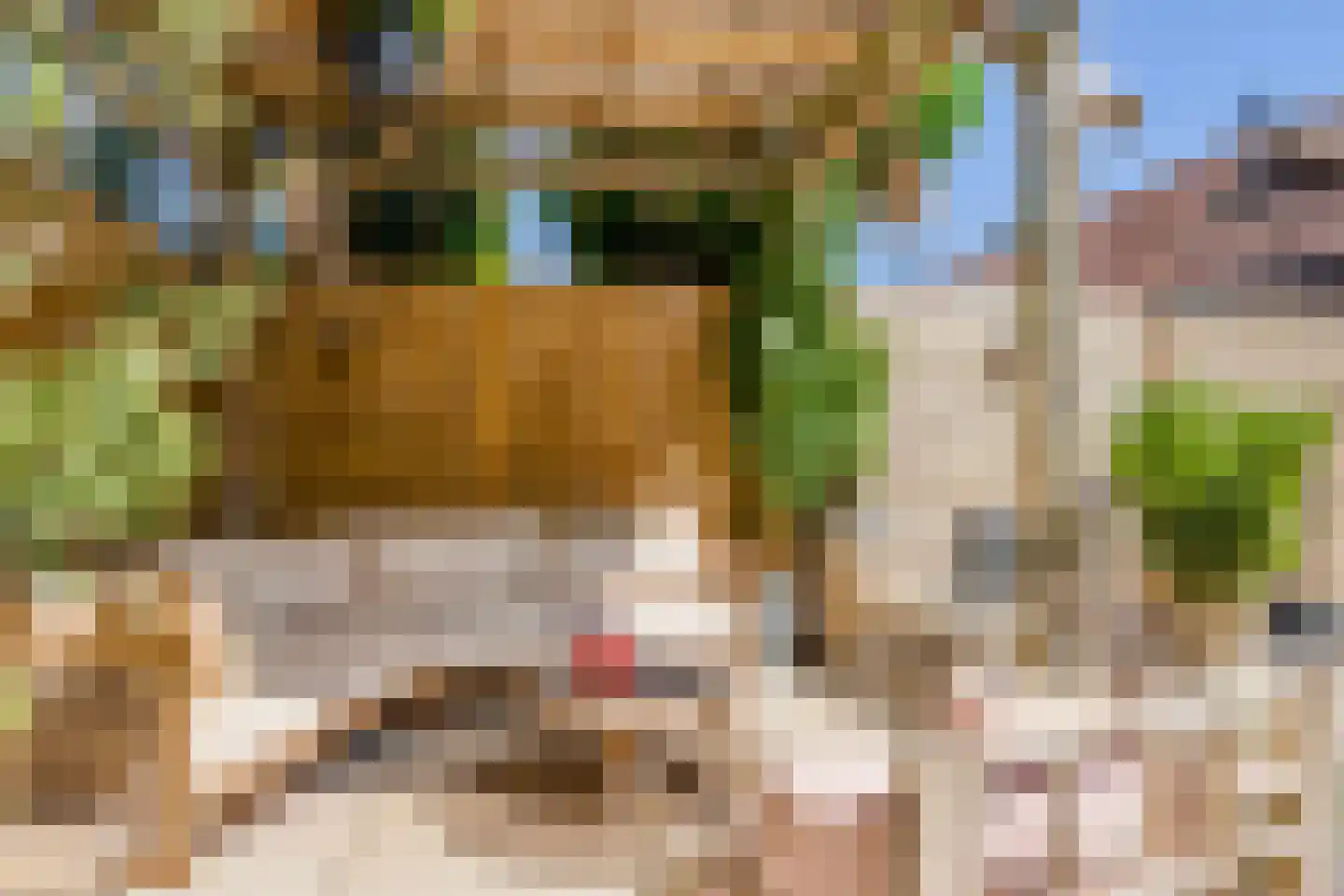 10 Meilaan 11 Valkenburg thumbnail 4