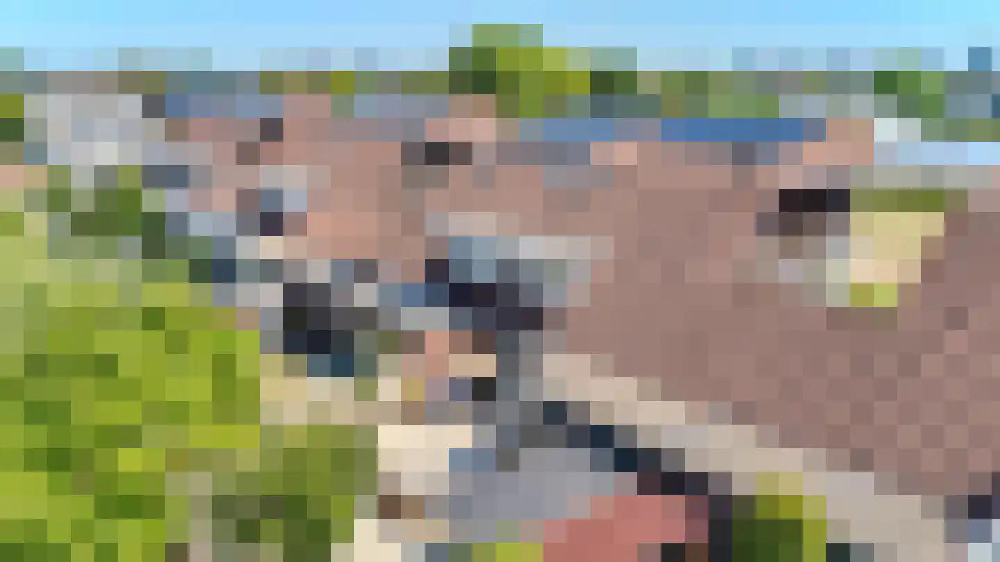 10 Meilaan 11 Valkenburg thumbnail 40