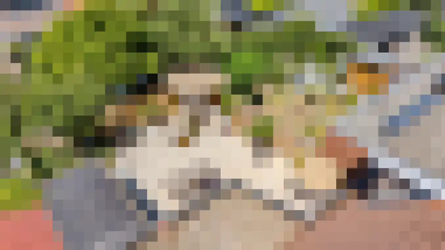 10 Meilaan 11 Valkenburg thumbnail 40