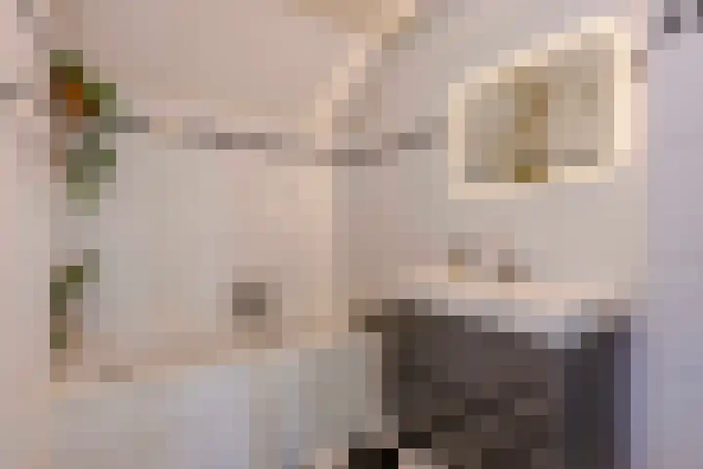 10 Meilaan 11 Valkenburg thumbnail 49