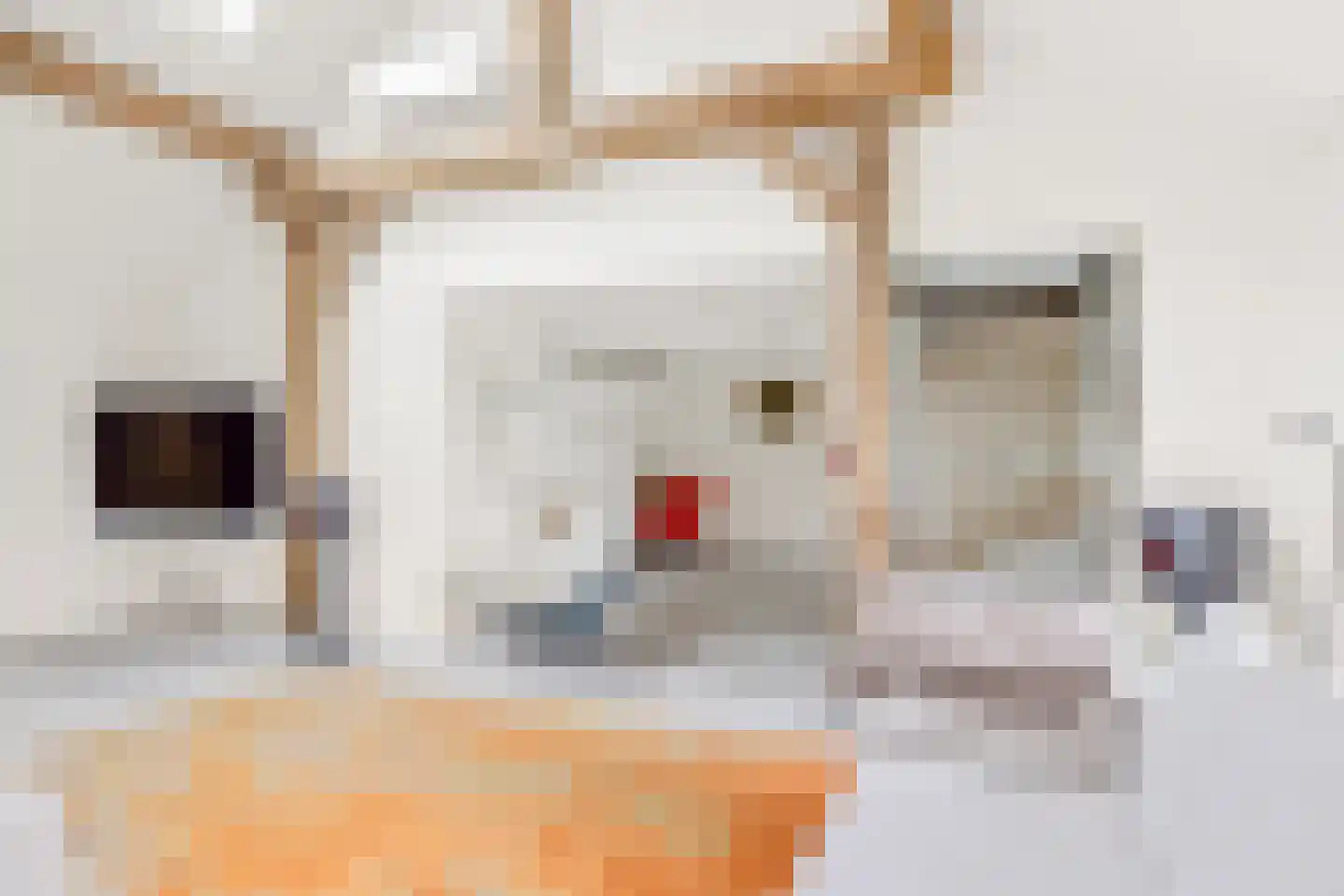 10e Wyk 4 Hoornsterzwaag thumbnail 15