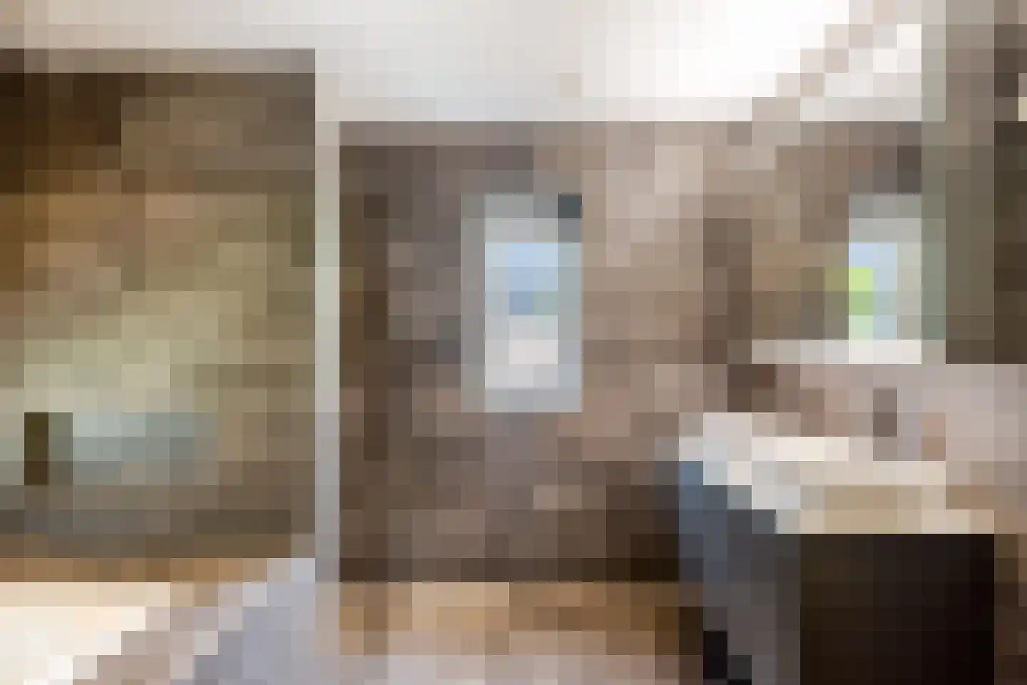 10e Wyk 4 Hoornsterzwaag thumbnail 30