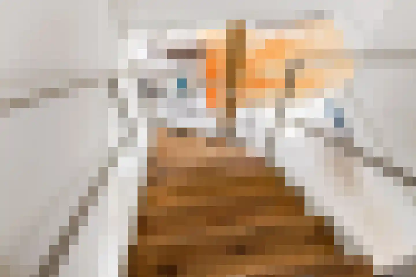 10e Wyk 4 Hoornsterzwaag thumbnail 35