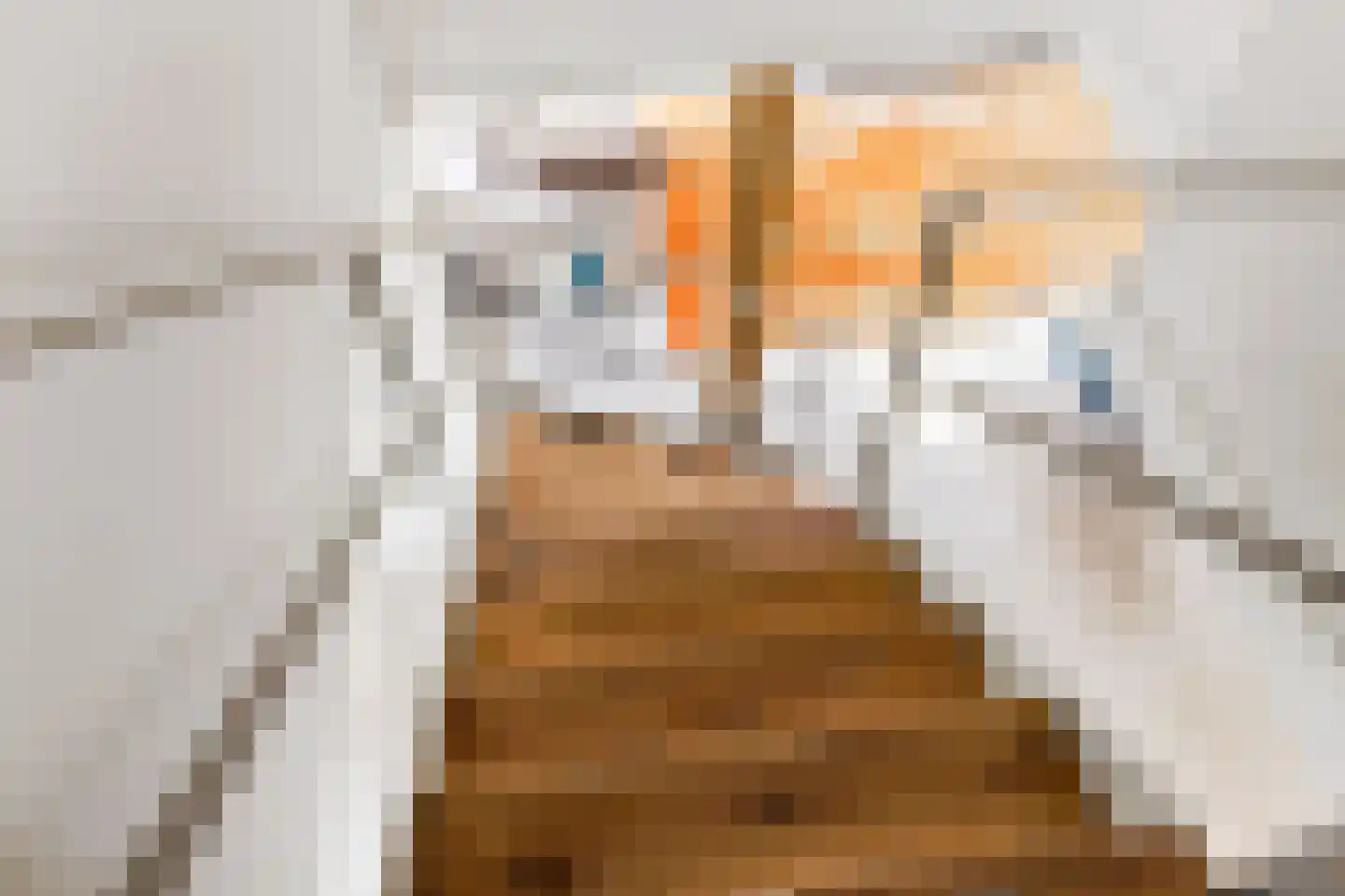 10e Wyk 4 Hoornsterzwaag thumbnail 34