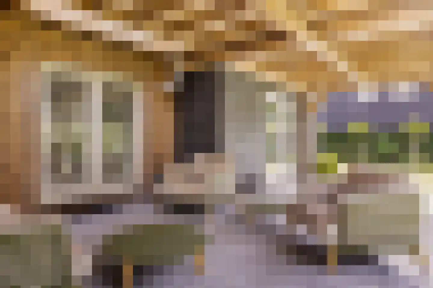10e Wyk 4 Hoornsterzwaag thumbnail 46