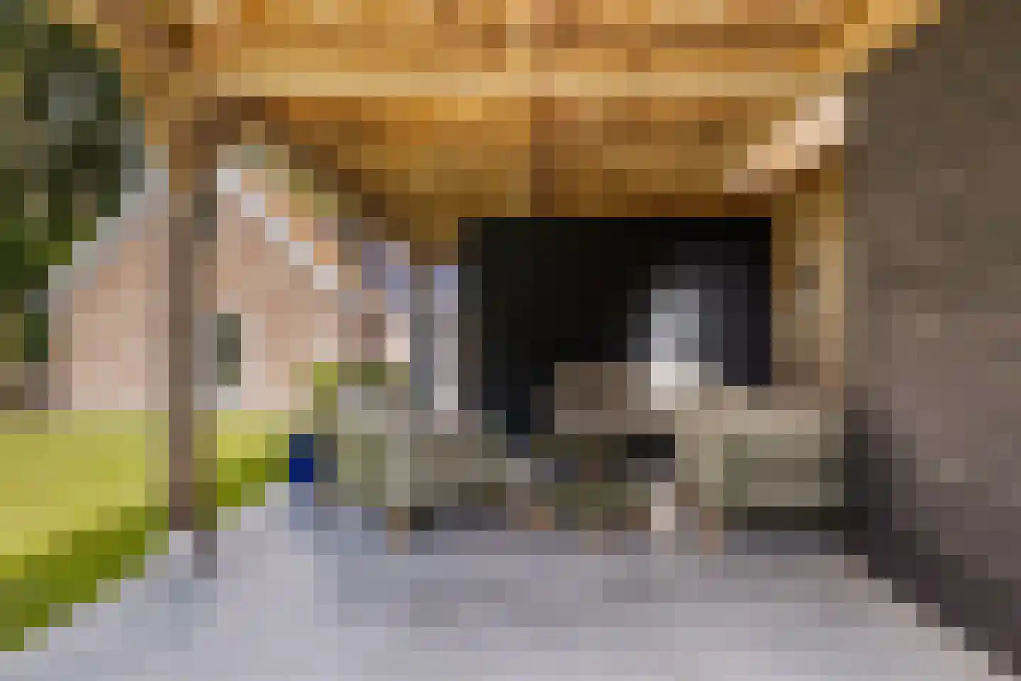 10e Wyk 4 Hoornsterzwaag thumbnail 47