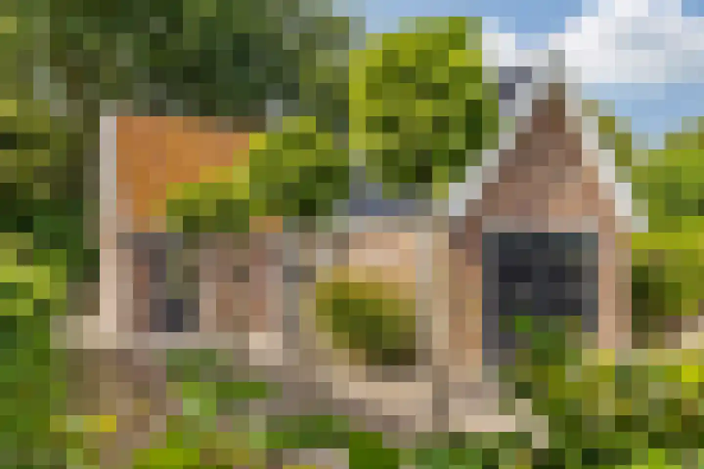 10e Wyk 4 Hoornsterzwaag thumbnail 50