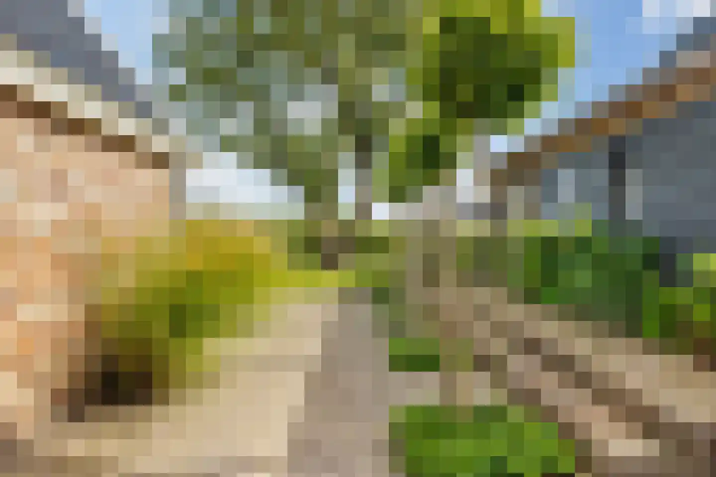 10e Wyk 4 Hoornsterzwaag thumbnail 51