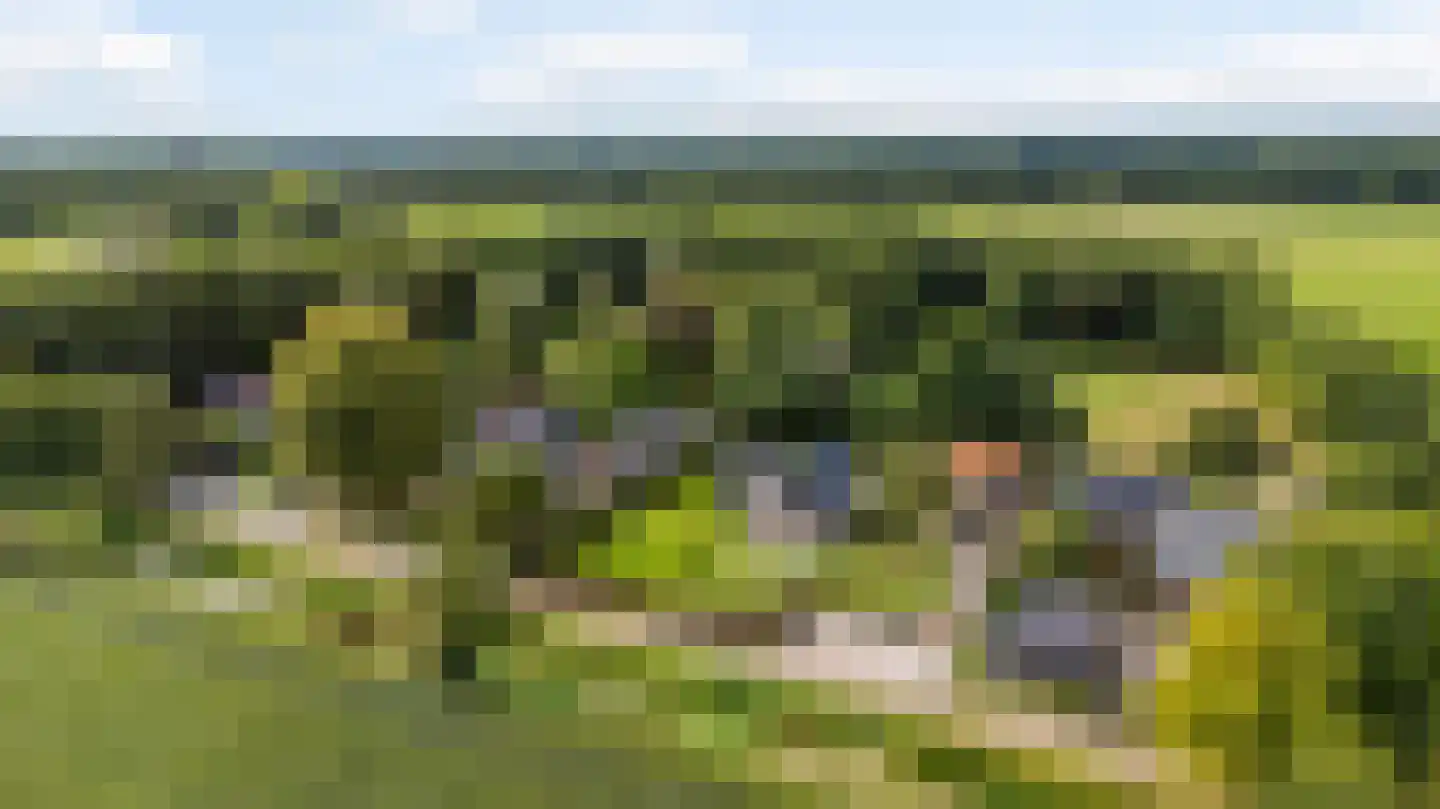 10e Wyk 4 Hoornsterzwaag thumbnail 59