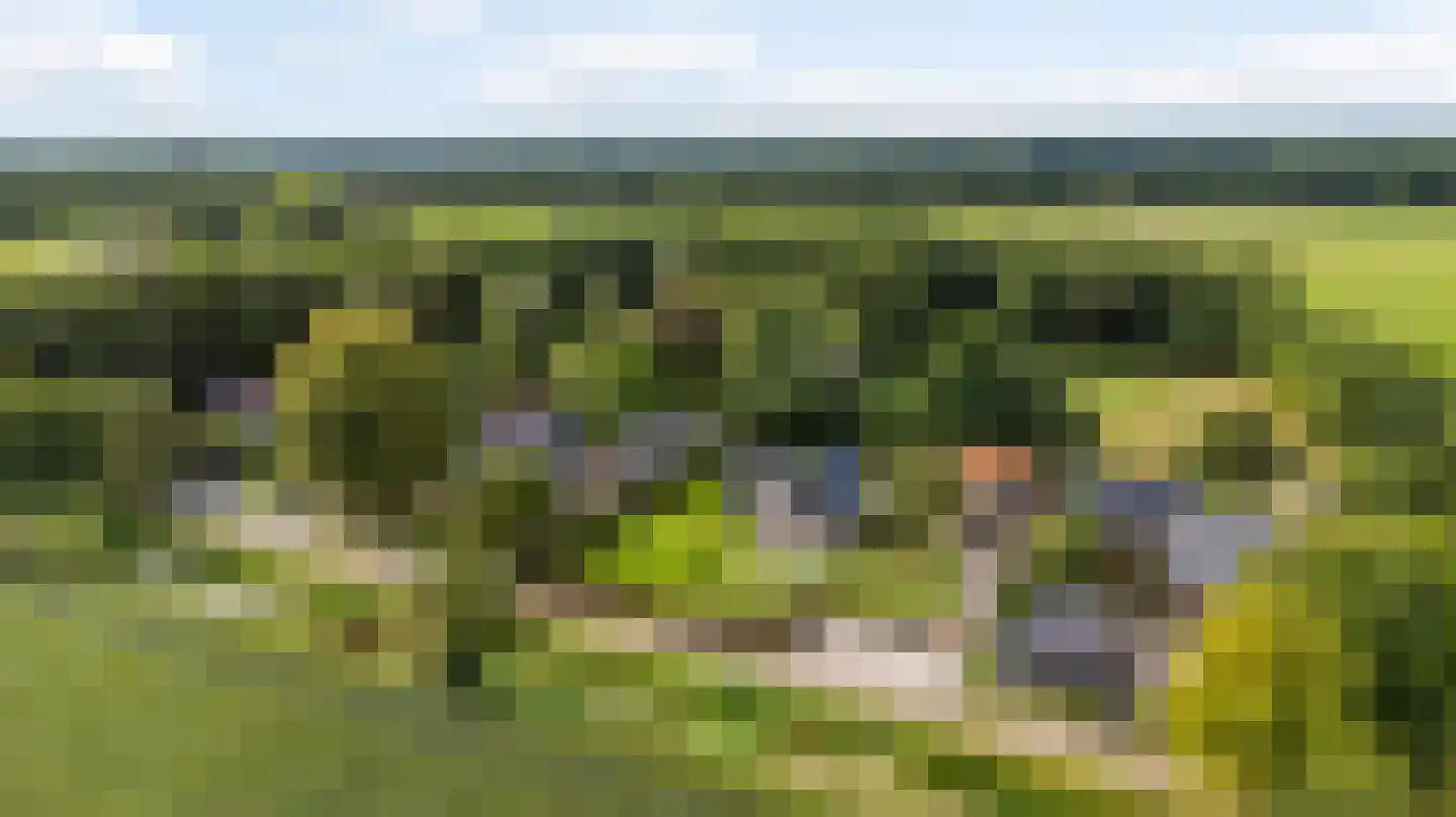 10e Wyk 4 Hoornsterzwaag thumbnail 60