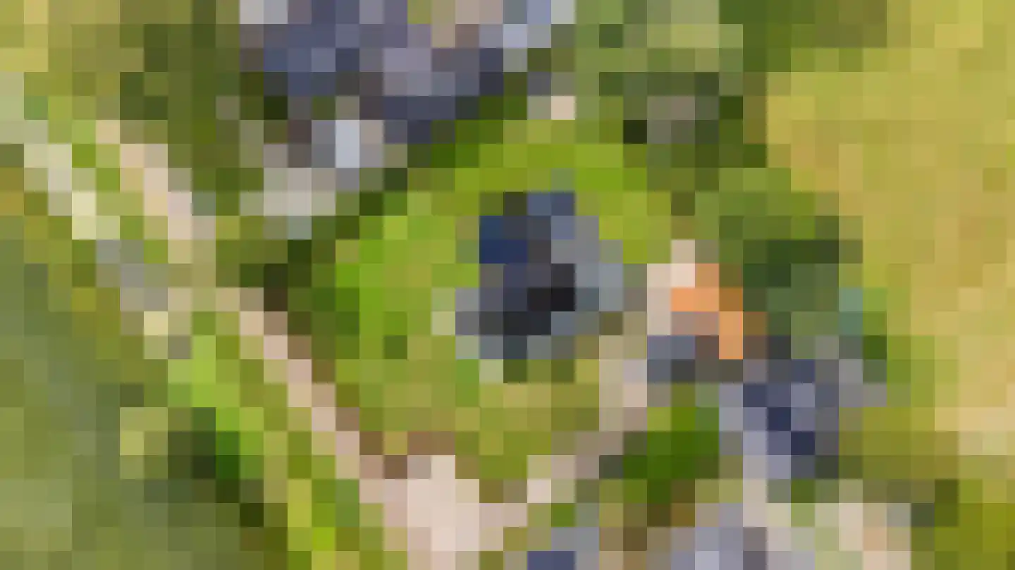 10e Wyk 4 Hoornsterzwaag thumbnail 62