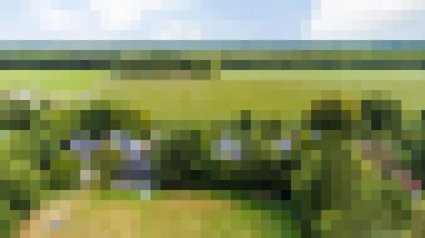 10e Wyk 4 Hoornsterzwaag thumbnail 63