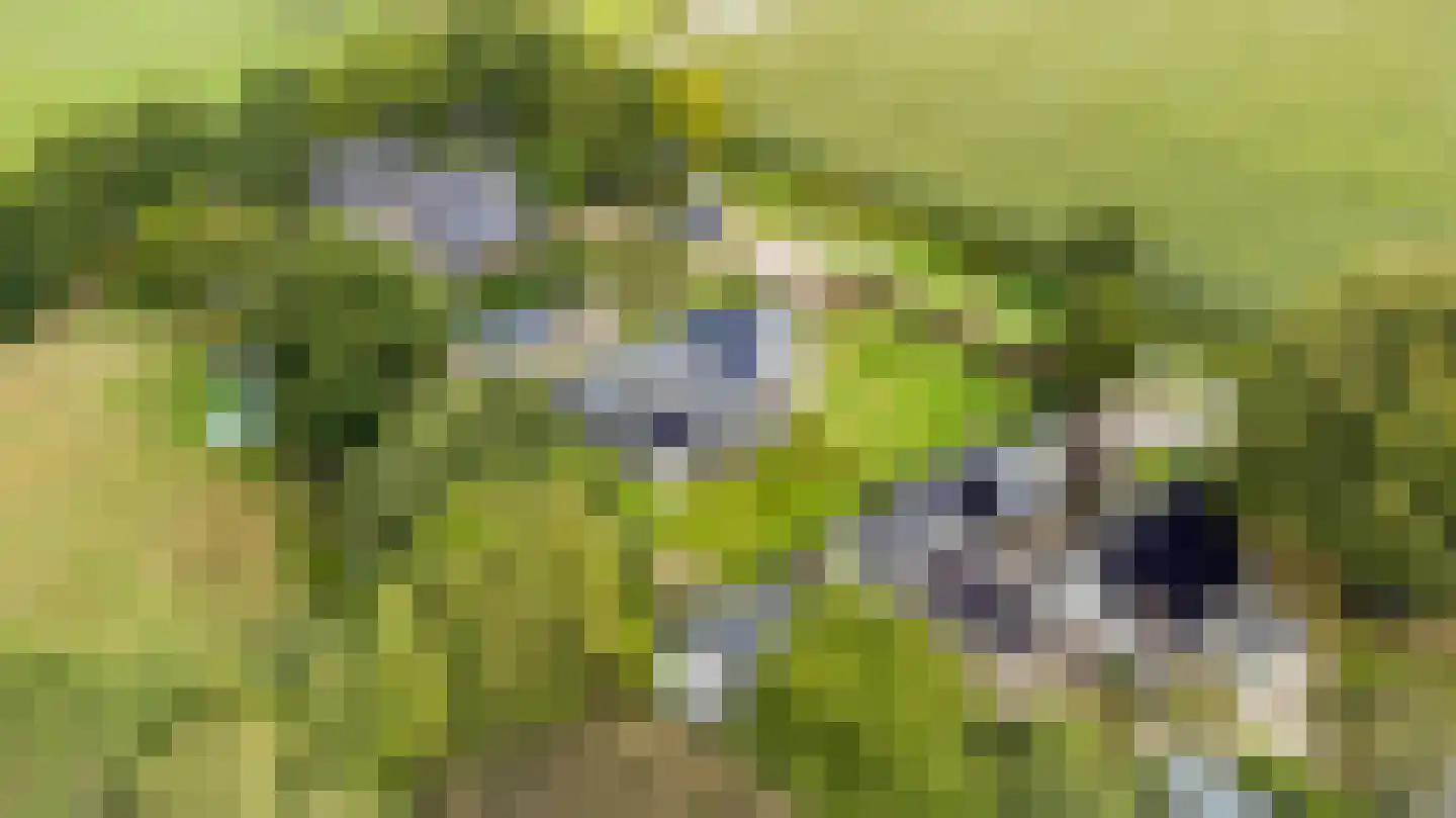 10e Wyk 4 Hoornsterzwaag thumbnail 65