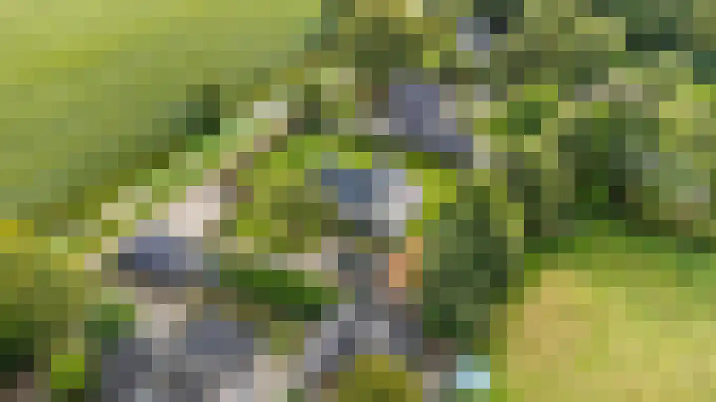 10e Wyk 4 Hoornsterzwaag thumbnail 65