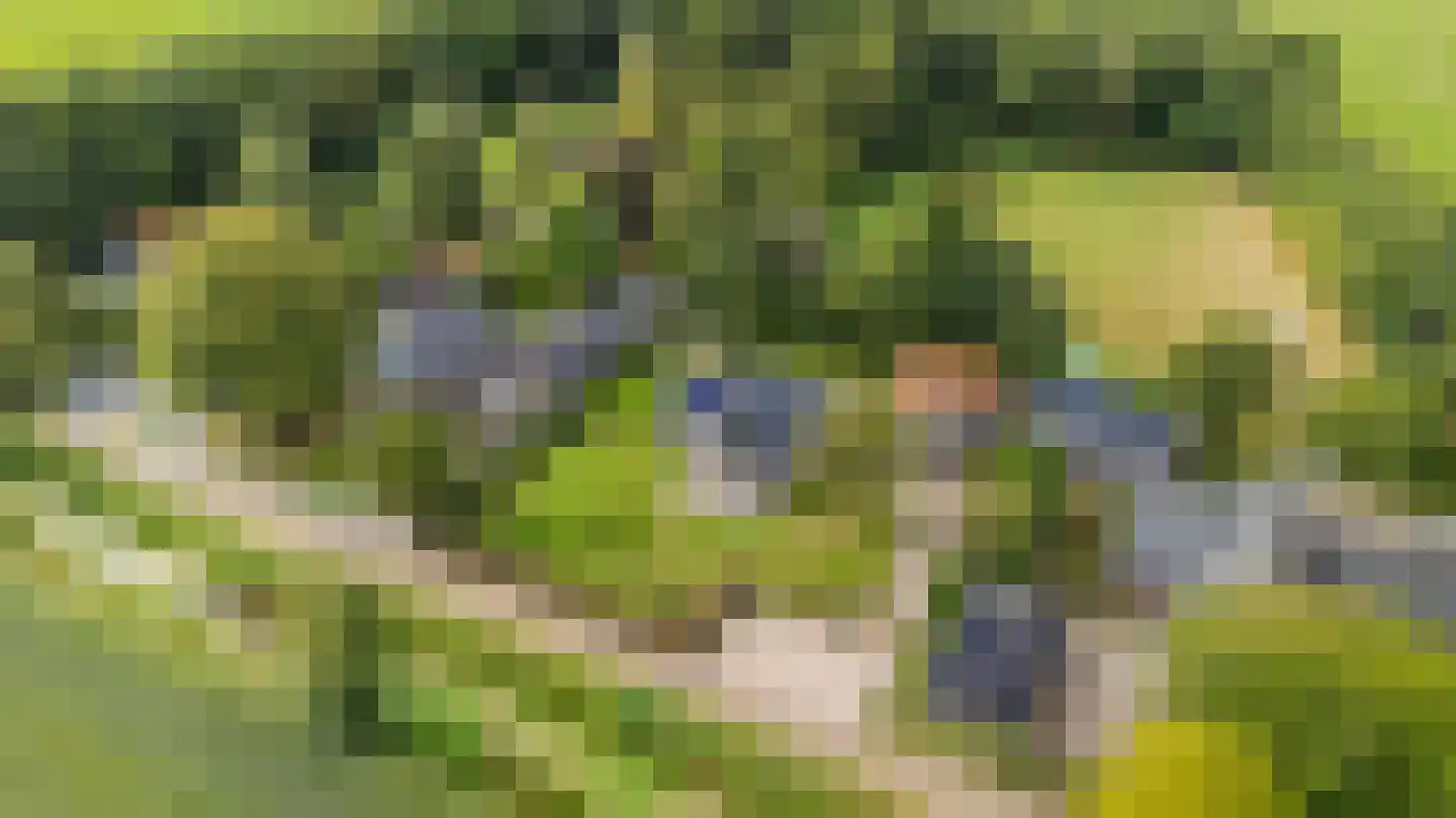 10e Wyk 4 Hoornsterzwaag thumbnail 66