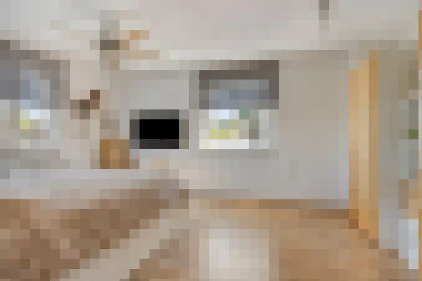 1213-laan 5 Landgraaf thumbnail 16