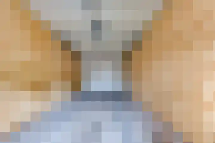 12e Laan 11 Valthermond thumbnail 11