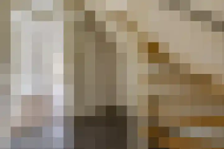 12e Laan 11 Valthermond thumbnail 13