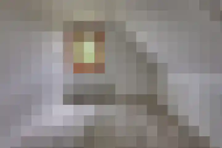 12e Laan 11 Valthermond thumbnail 16