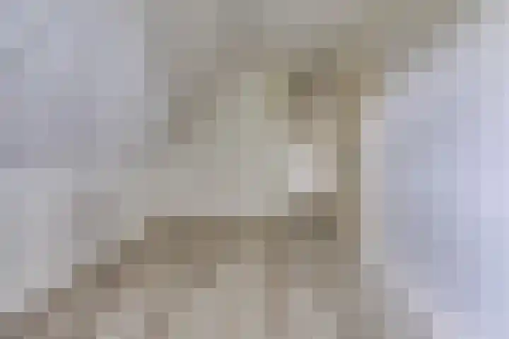 12e Laan 11 Valthermond thumbnail 17