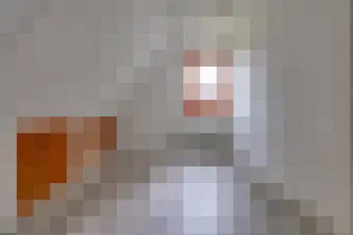 12e Laan 11 Valthermond thumbnail 18
