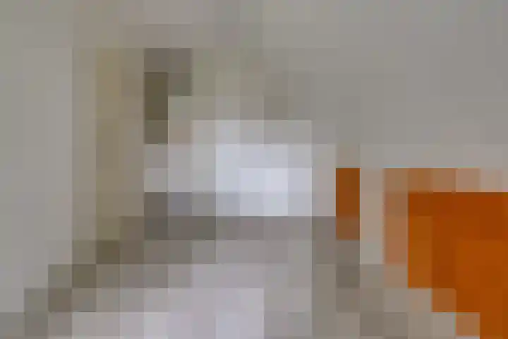 12e Laan 11 Valthermond thumbnail 19