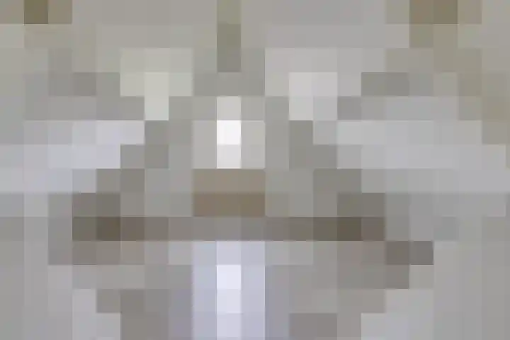 12e Laan 11 Valthermond thumbnail 21