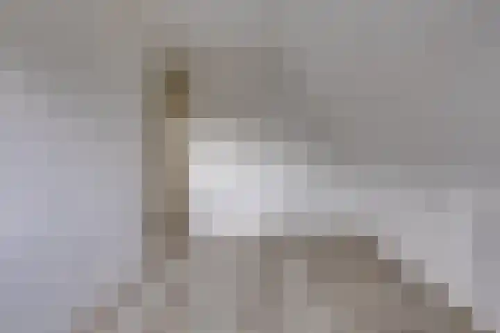 12e Laan 11 Valthermond thumbnail 27