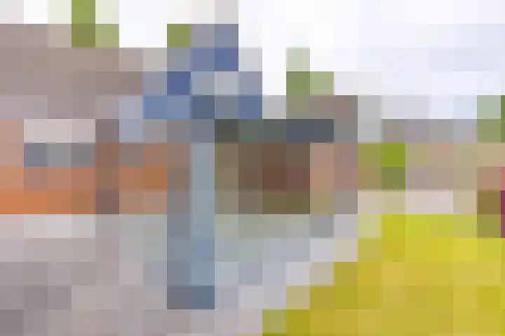 12e Laan 11 Valthermond thumbnail 28