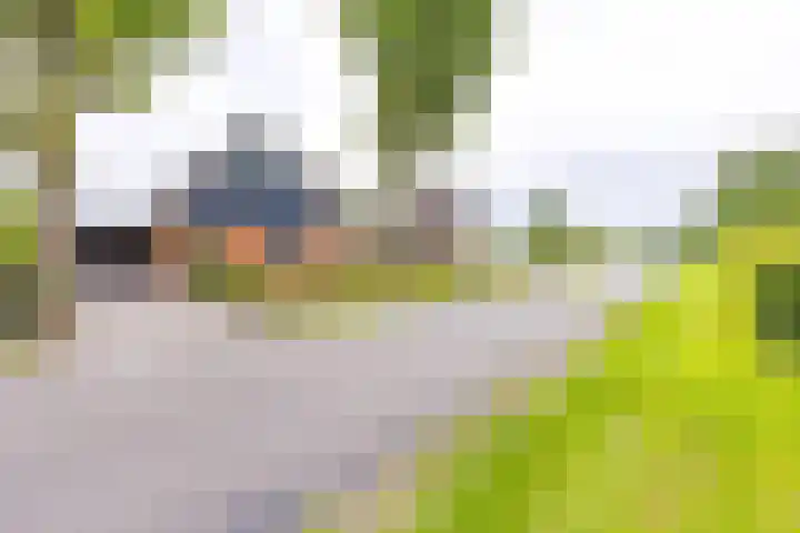 12e Laan 11 Valthermond thumbnail 32