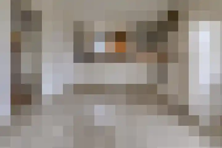 12e Laan 11 Valthermond thumbnail 8
