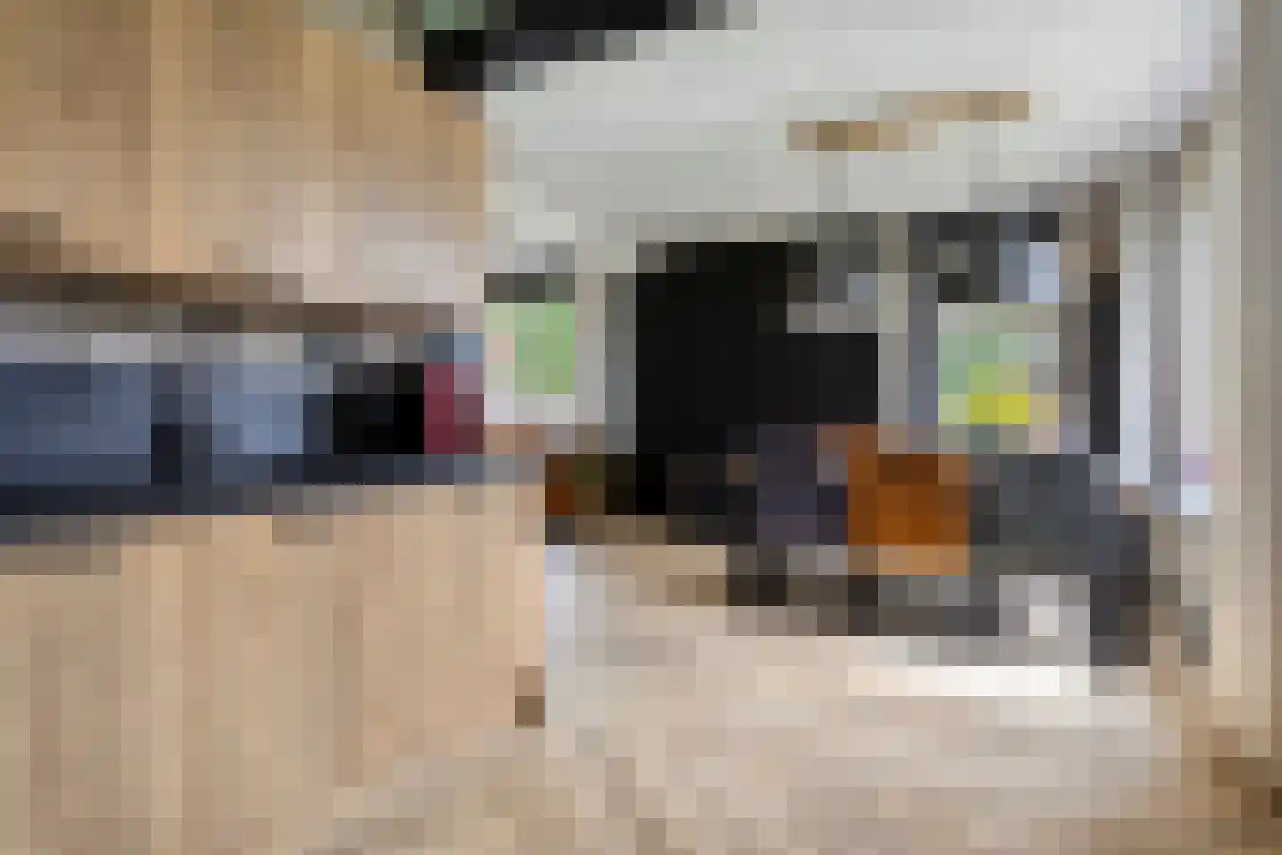 12e Laan 6 Valthermond thumbnail 14
