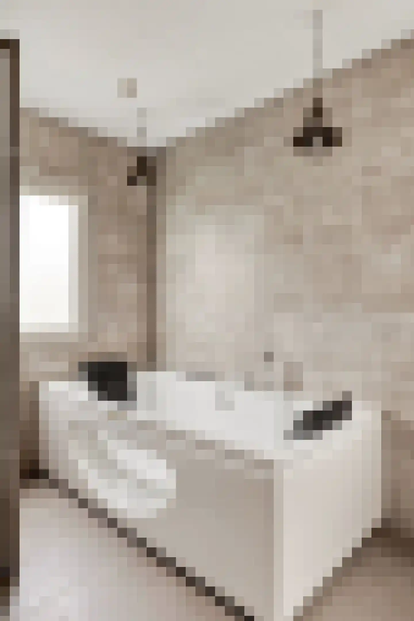12e Laan 6 Valthermond thumbnail 21
