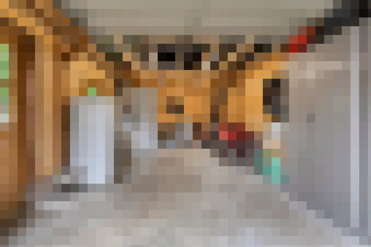 12e Laan 6 Valthermond thumbnail 36