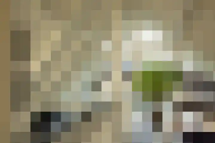 12e Septemberlaan 18 Noorbeek thumbnail 13