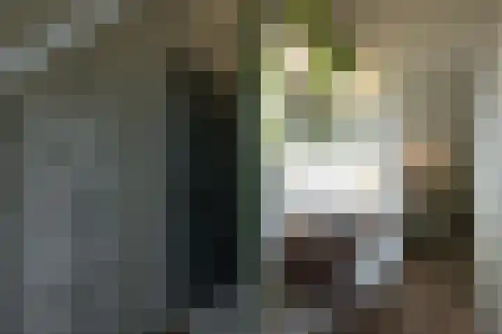 12e Septemberlaan 18 Noorbeek thumbnail 16