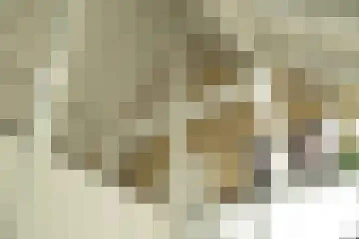 12e Septemberlaan 18 Noorbeek thumbnail 8