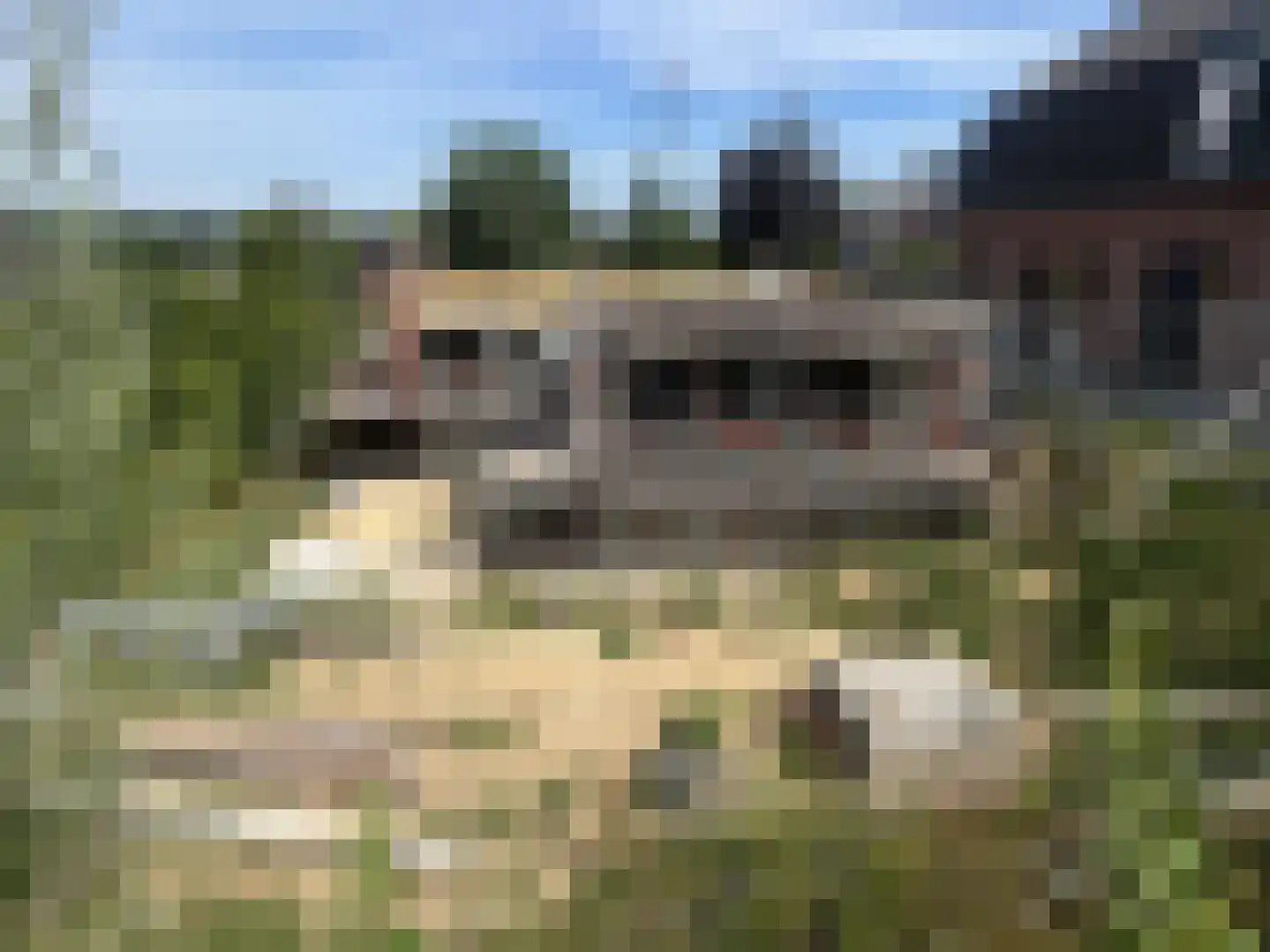12e Septemberlaan 4 Noorbeek thumbnail 11