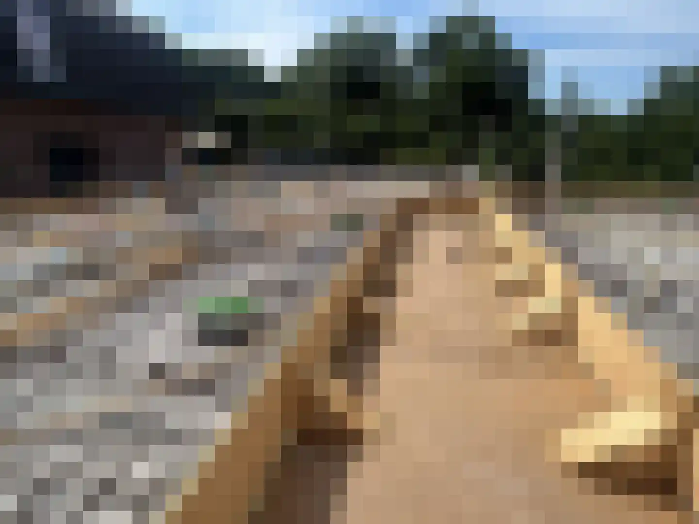 12e Septemberlaan 4 Noorbeek thumbnail 13